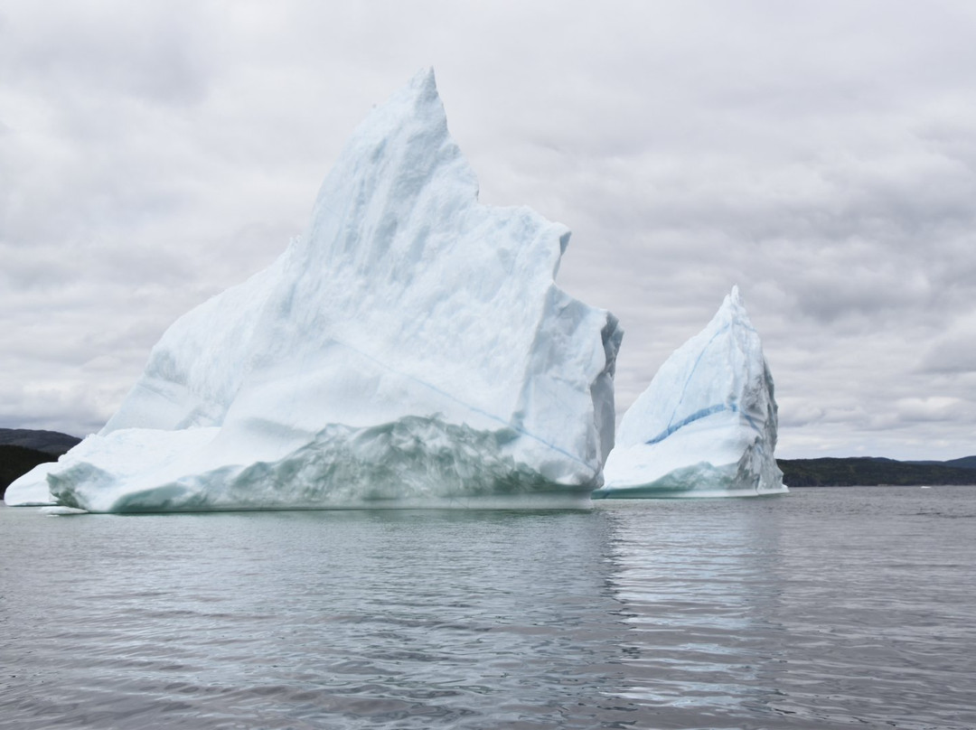 King's Point Boat Tours and Adventures-King's Point必去景点