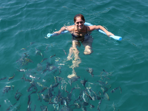 Shalom Agencia de Turismo Paraty-里约热内卢必去景点