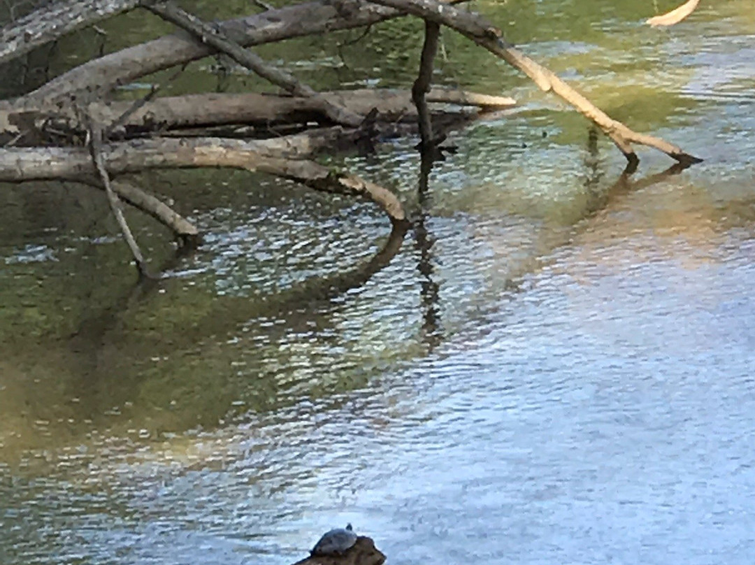 Catawba River Greenway-Morganton必去景点