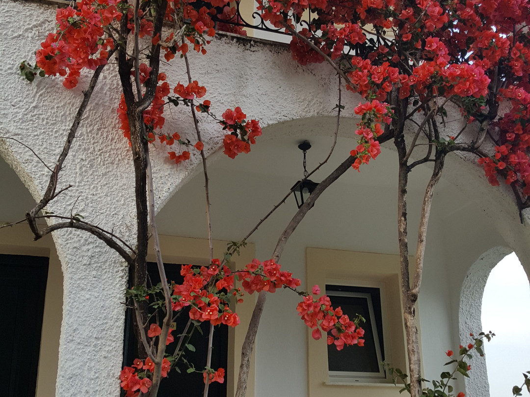 雅尼丝宾馆主图