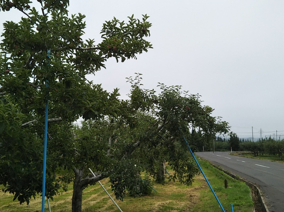 苹果路-弘前市必去景点