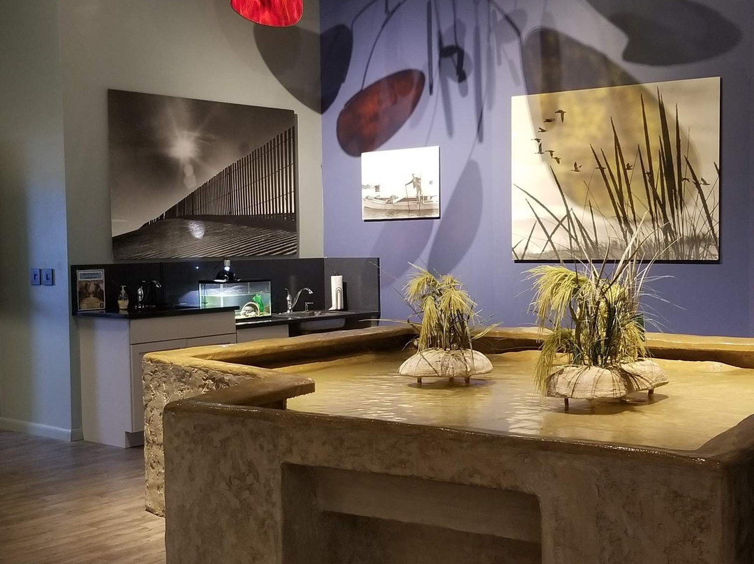 Delmarva Discovery Museum-Pocomoke City必去景点