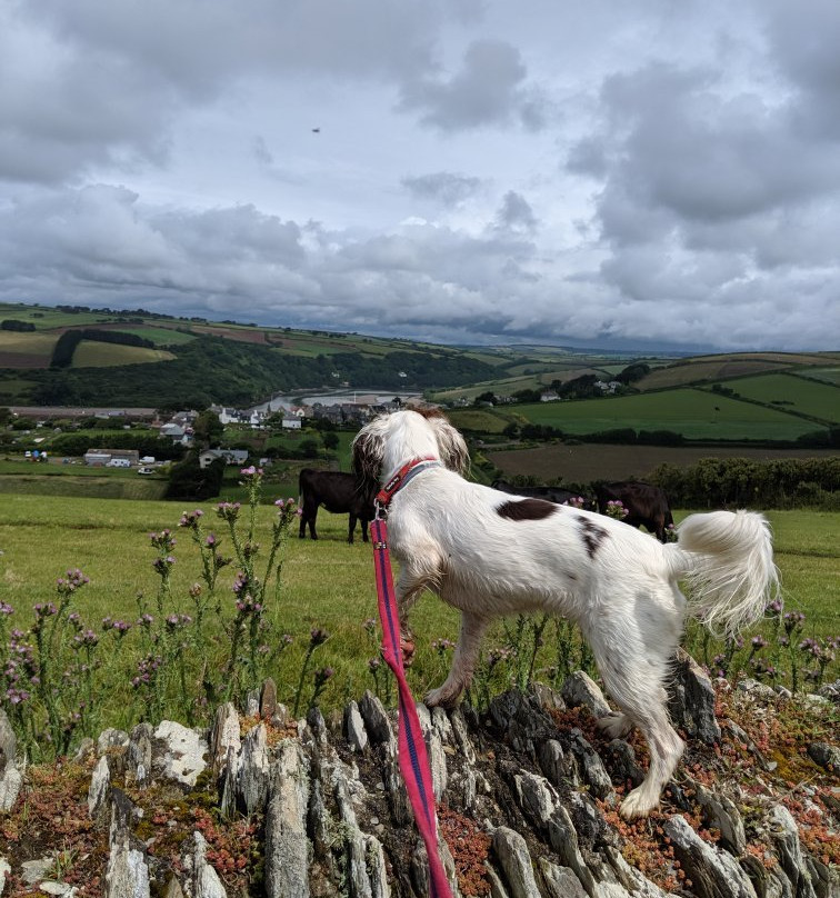 The Bantham to Thurlestone Circular Walk-Thurlestone必去景点