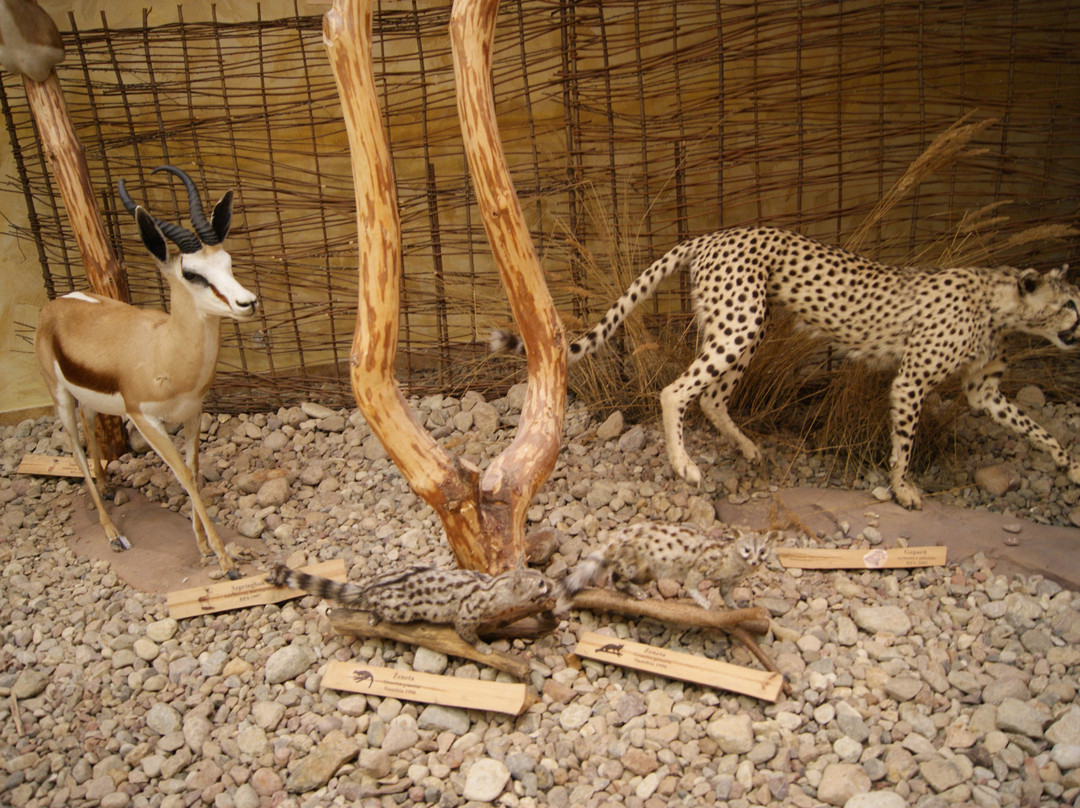Museum of Natural Environment and Hunting景点图片