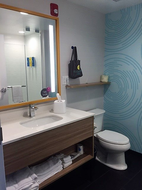 Tru By Hilton Williamsville Buffalo Airport主图