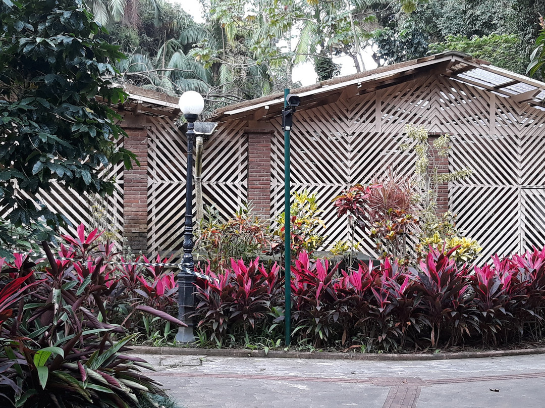 José Sanchez Alarcon Municipal Orchidarium-普拉亚格兰德必去景点