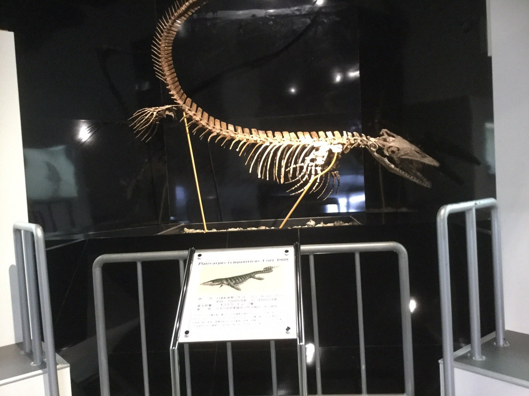 Mikasa City Museum-三笠市必去景点