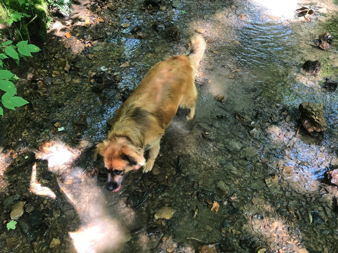 Flint Ridge Memorial State Park-Glenford必去景点