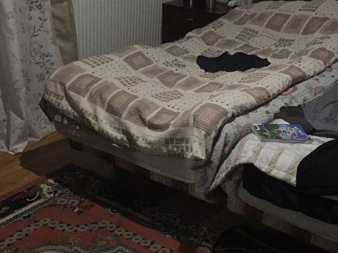 Guesthouse Levani主图