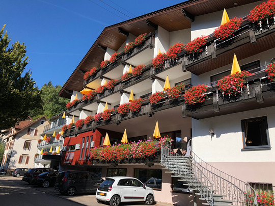 Ringhotel Sonnenhof主图