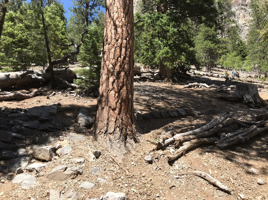 玛丽·简瀑布远足路线-拉斯维加斯必去景点