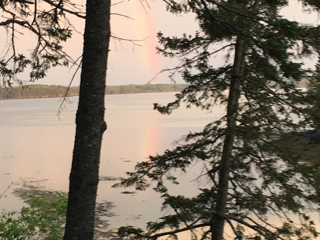 Cobscook Bay State Park景点图片