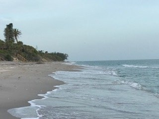 Pearl Beach Inn主图