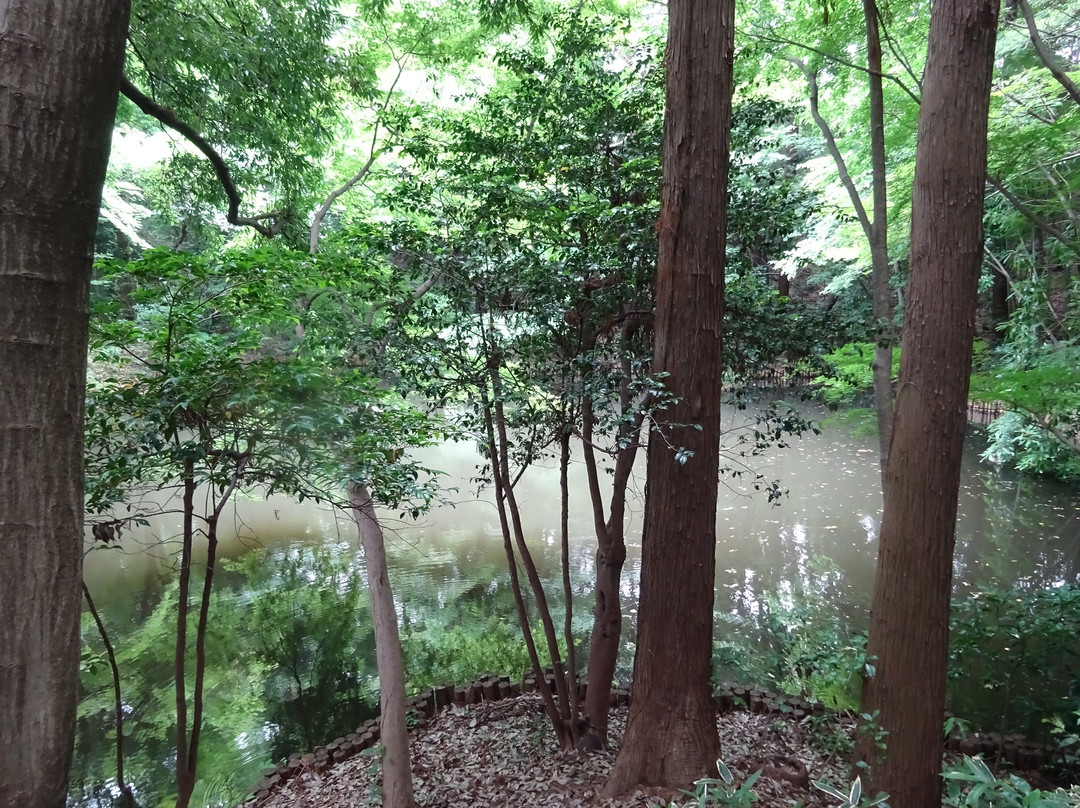 Sorosenen-小金井市必去景点