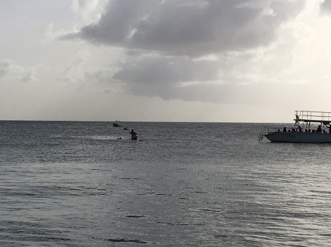 Sea Spray Watersports-圣詹姆斯必去景点