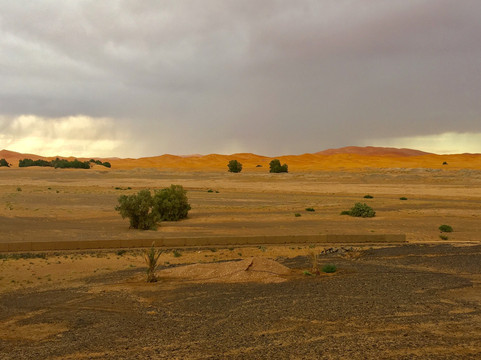 塔寇伊旅馆主图