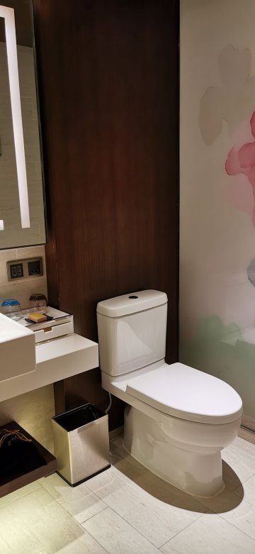 丽江实力希尔顿花园酒店-浴室