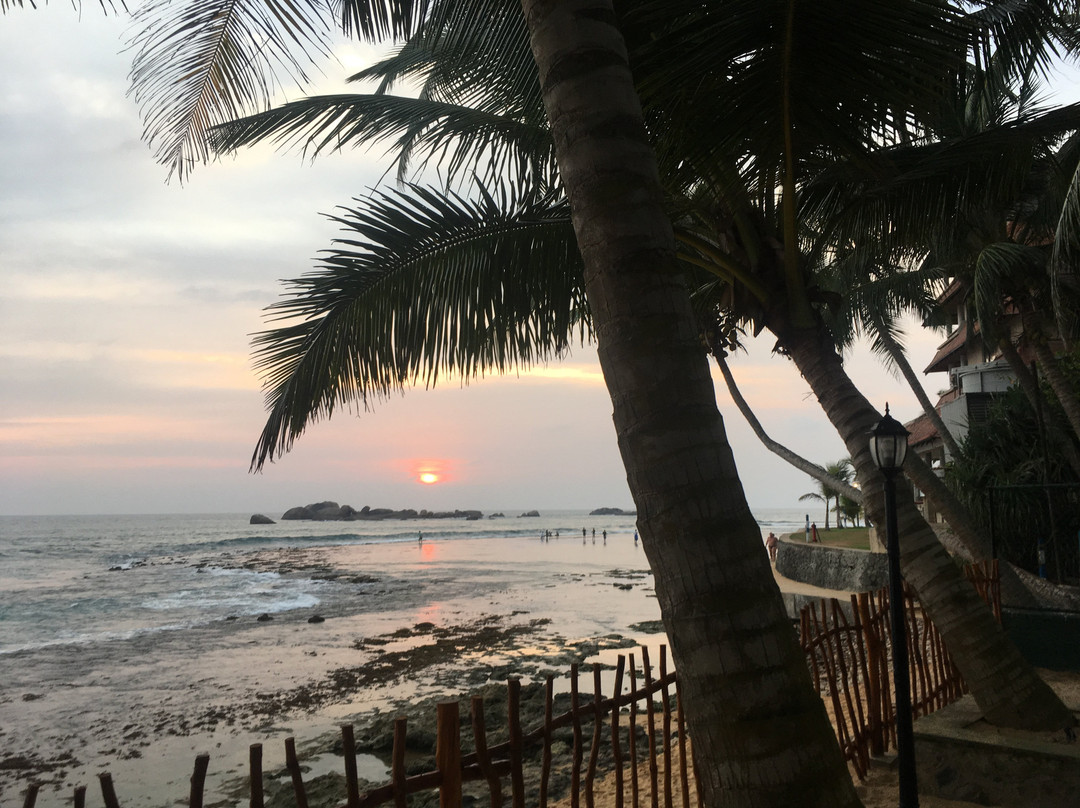 Hikka Sandy Pearl Beach Resort主图