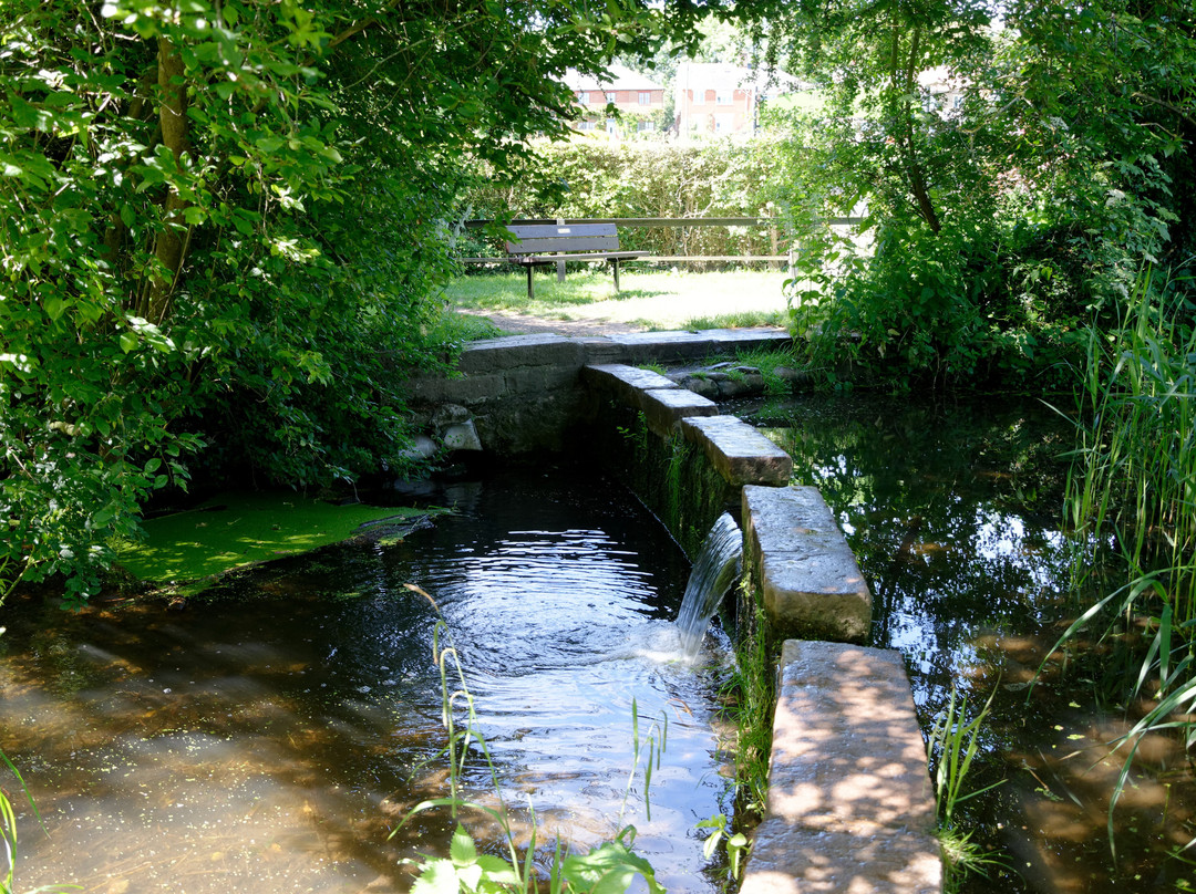 Batford Springs Nature Reserve景点图片