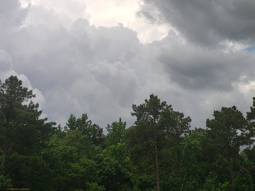 Home2 Suites by Hilton Opelika Auburn主图