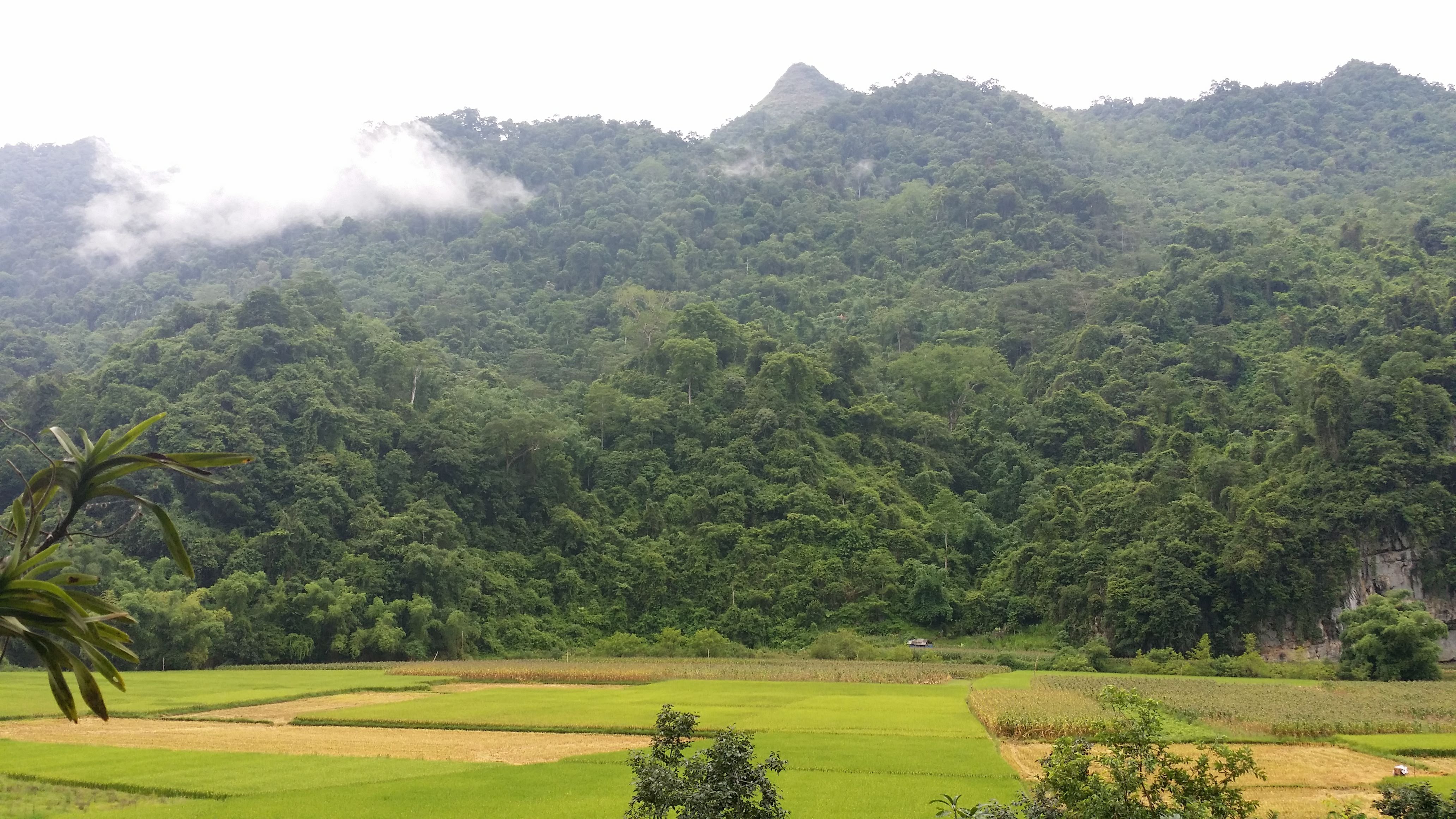 Huyen Hao Homestay-酒店景观