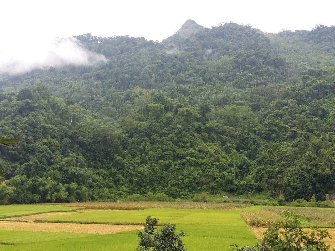 Huyen Hao Homestay主图
