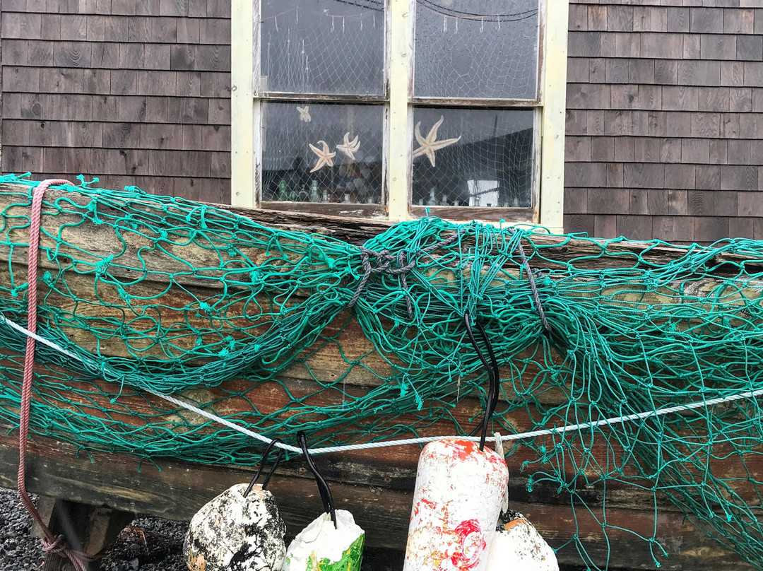 Alternative Routes-哈利法克斯必去景点