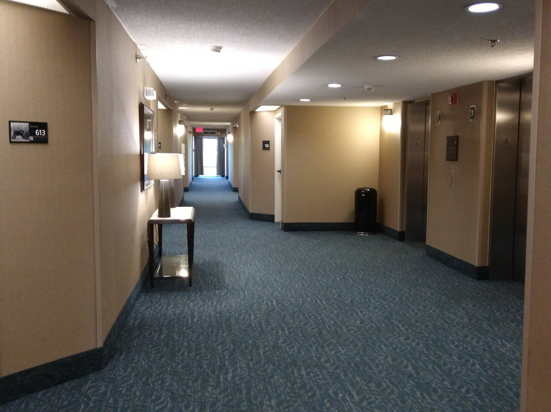 夏洛特大学欢朋酒店主图