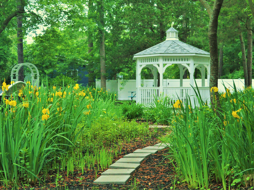 Meris Gardens Bed & Breakfast主图