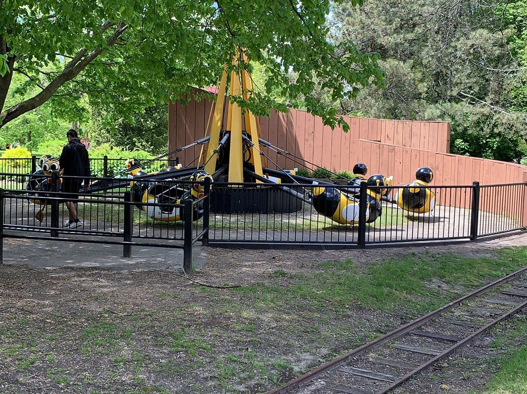 Toronto Island Bicycle Rental-多伦多必去景点
