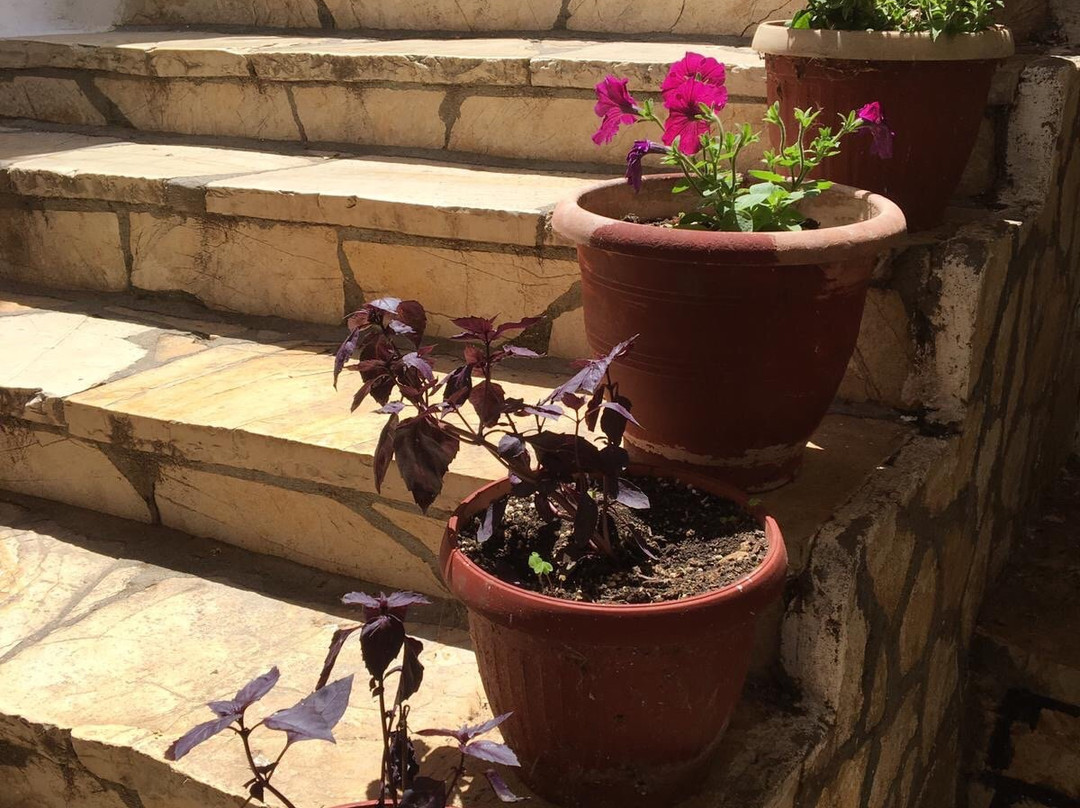 Panagia Mirtidiotissa Church-Vatos必去景点