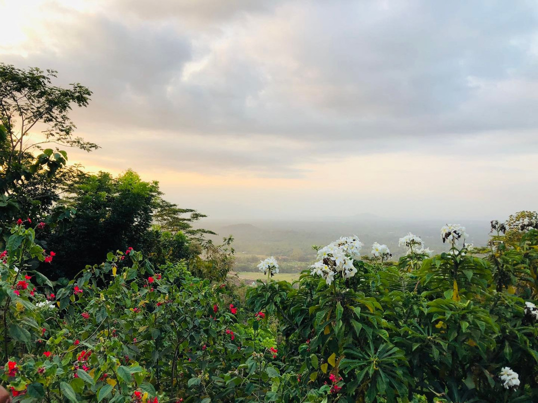 别墅婆罗浮屠主图