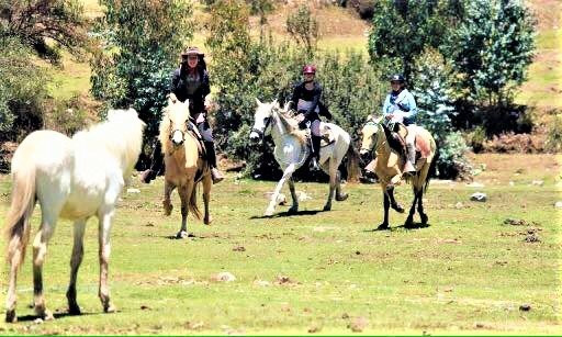 Horse riding in cusco Gabriel's Ranch景点图片