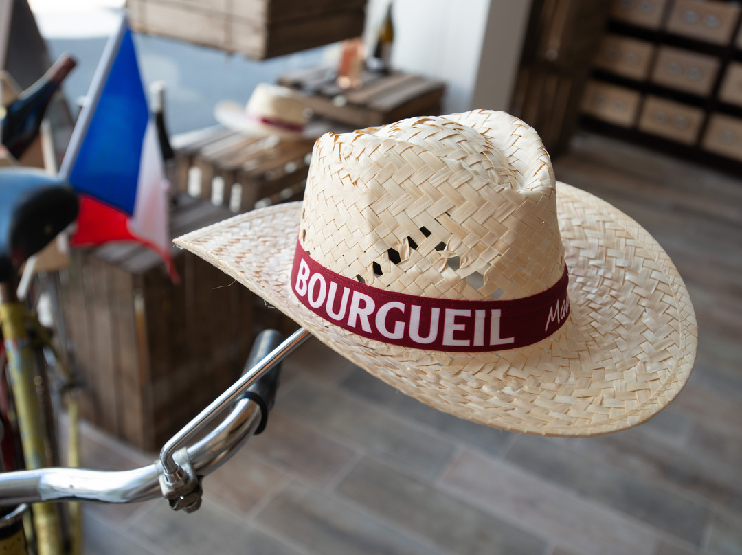 Maison des Vins de Bourgueil景点图片