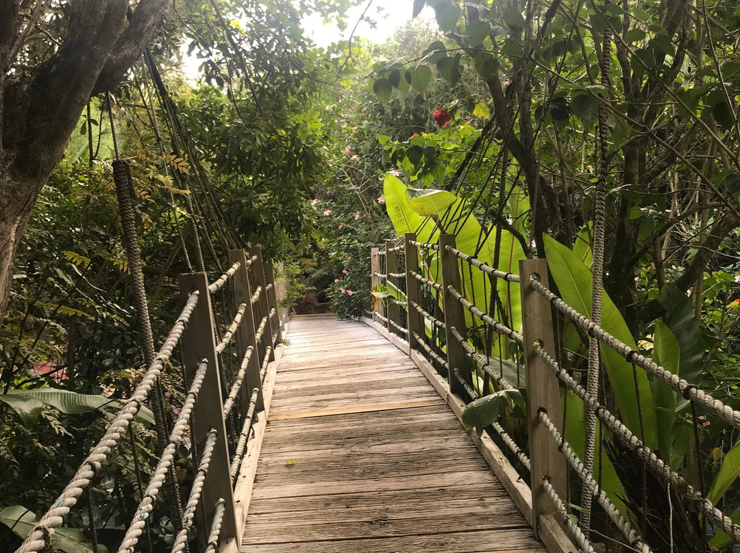 洛斯特温泉景点图片