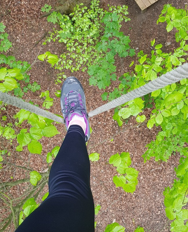 Go Ape Buxton-巴克斯顿必去景点