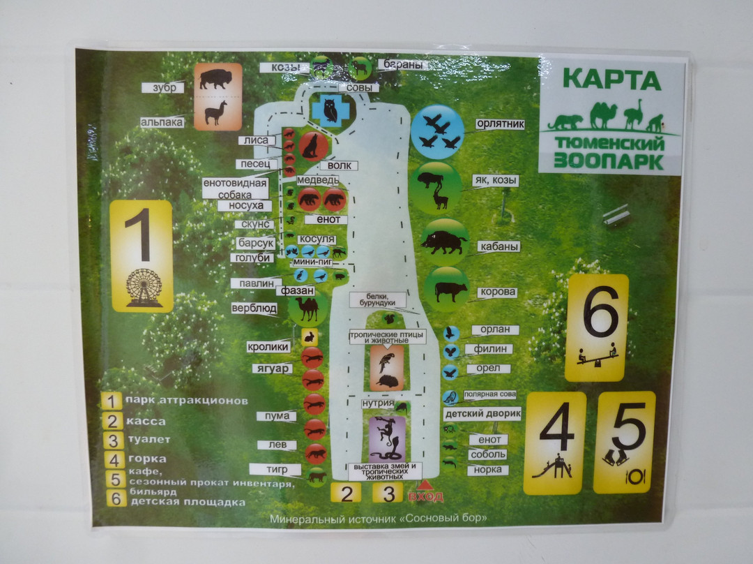 Zoo, baza otdykha Sosnoviy Bor-秋明必去景点