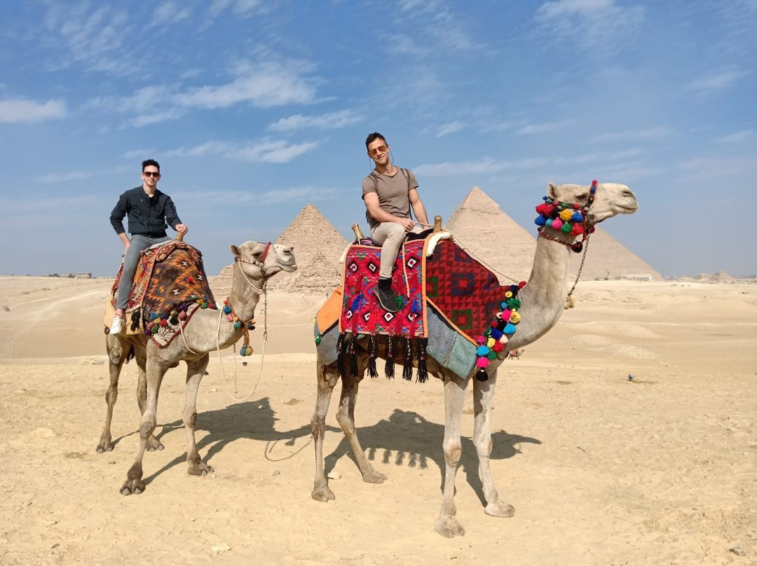 Pyramids Camel Ride-开罗必去景点