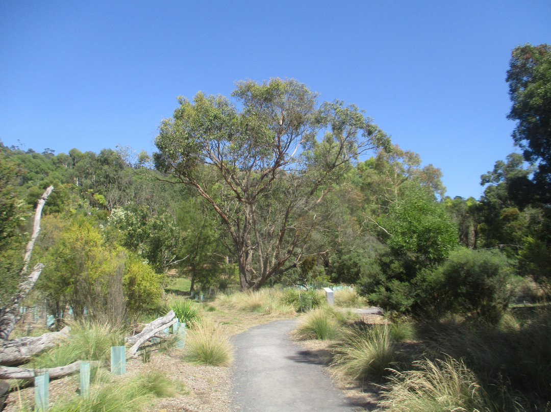 Valley Lake Conservation Park景点图片