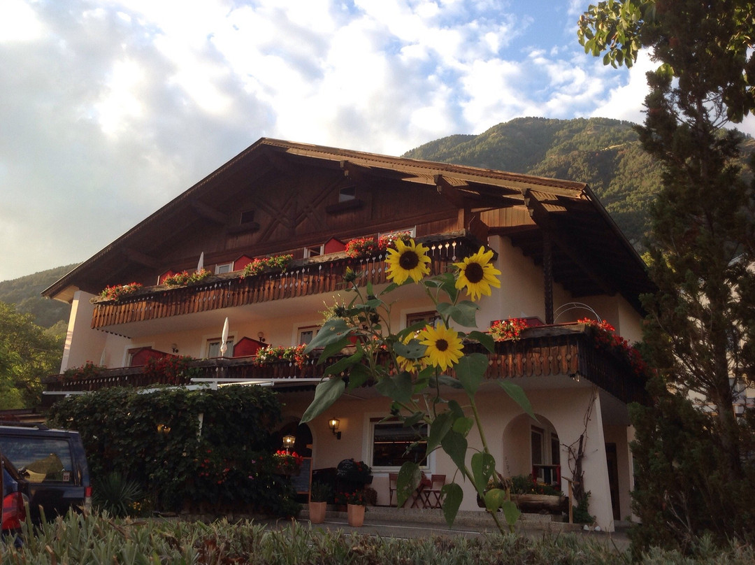 Hotel Vetzanerhof主图