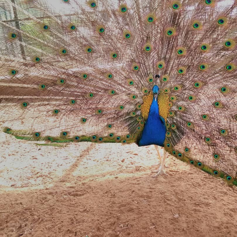 Flamingo Hotel主图