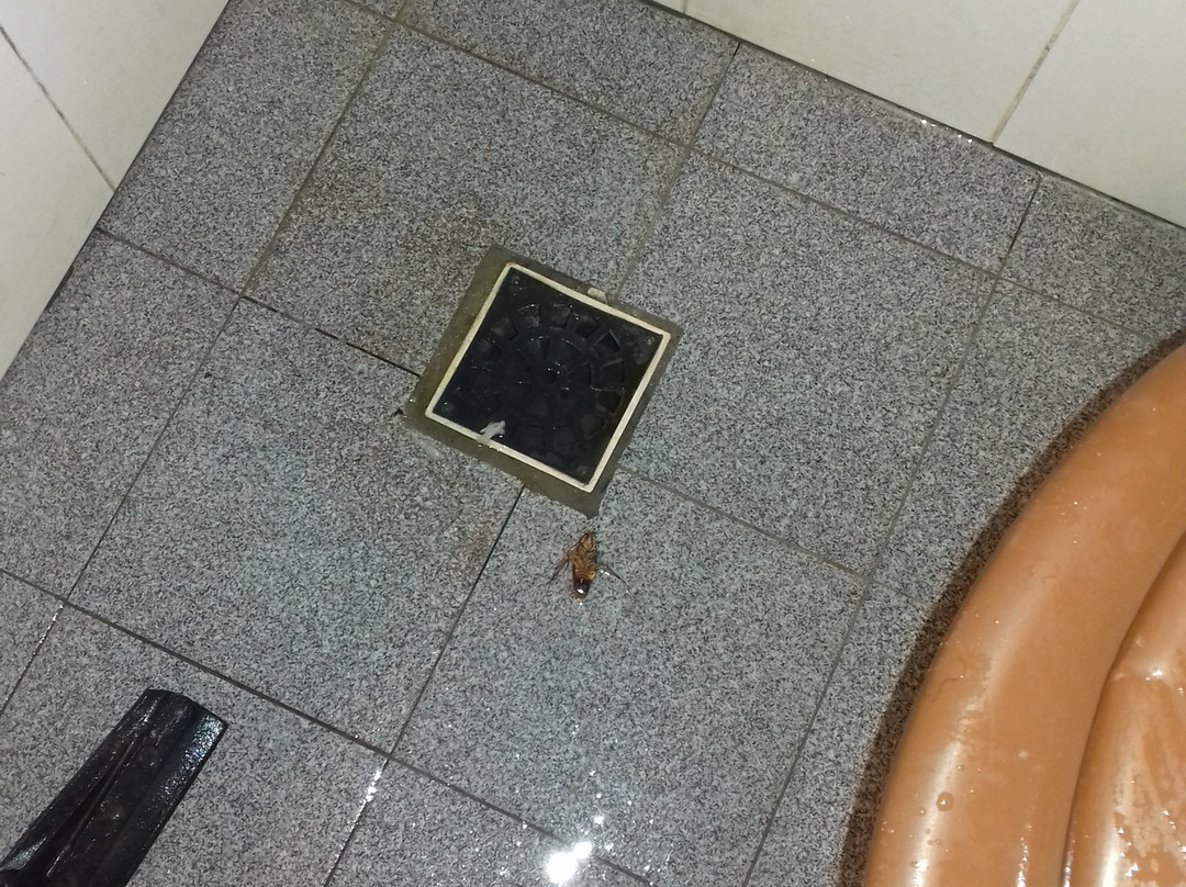 Posadena Linda Hostel主图