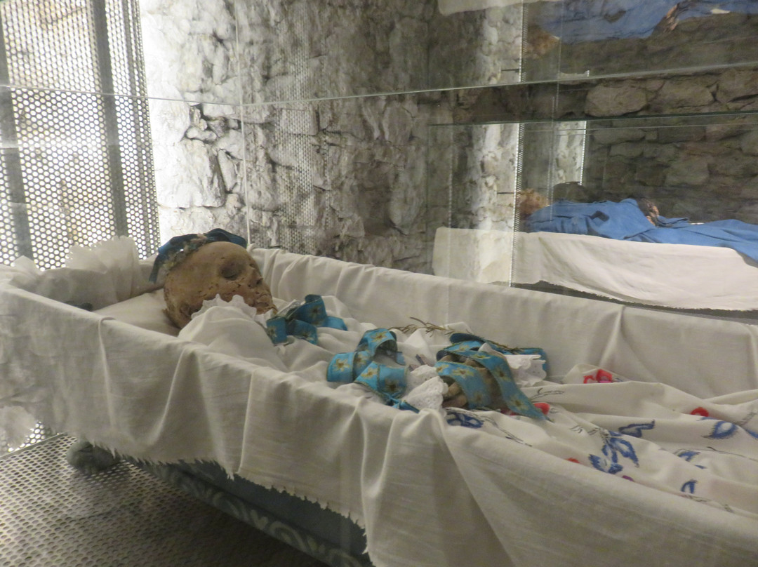 Tragor Ignác Museum - Memento Mori Exhibition景点图片