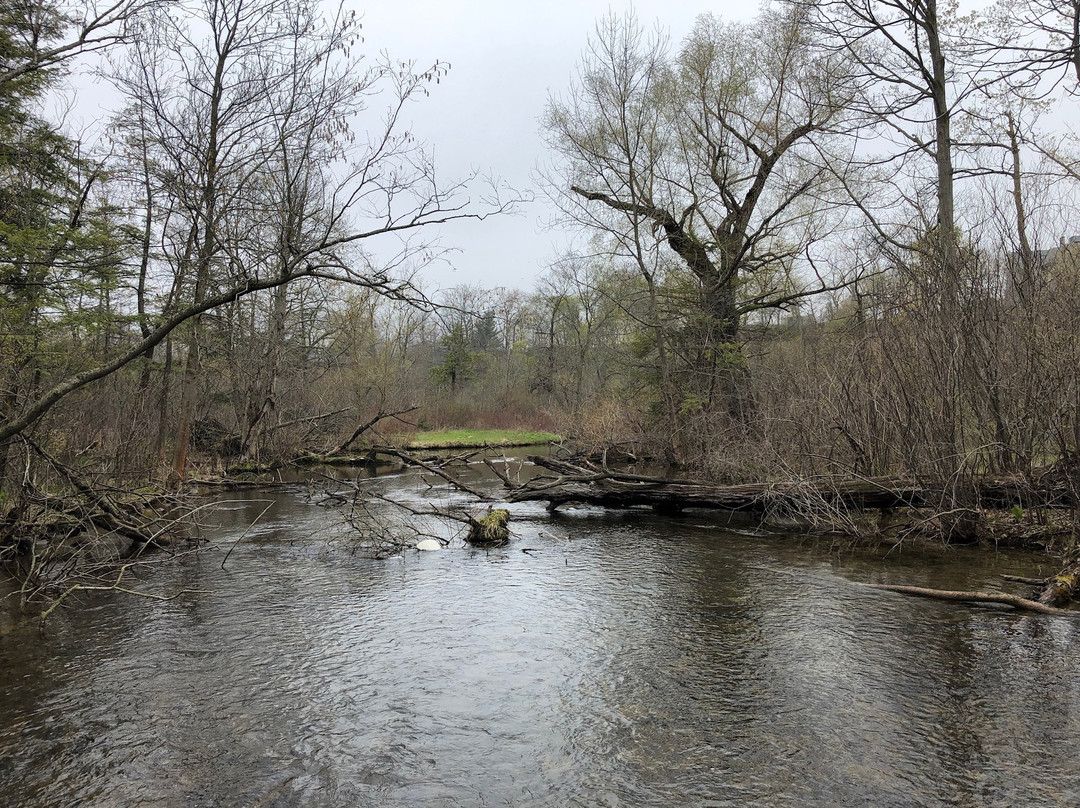 Dufferin Islands Park景点图片