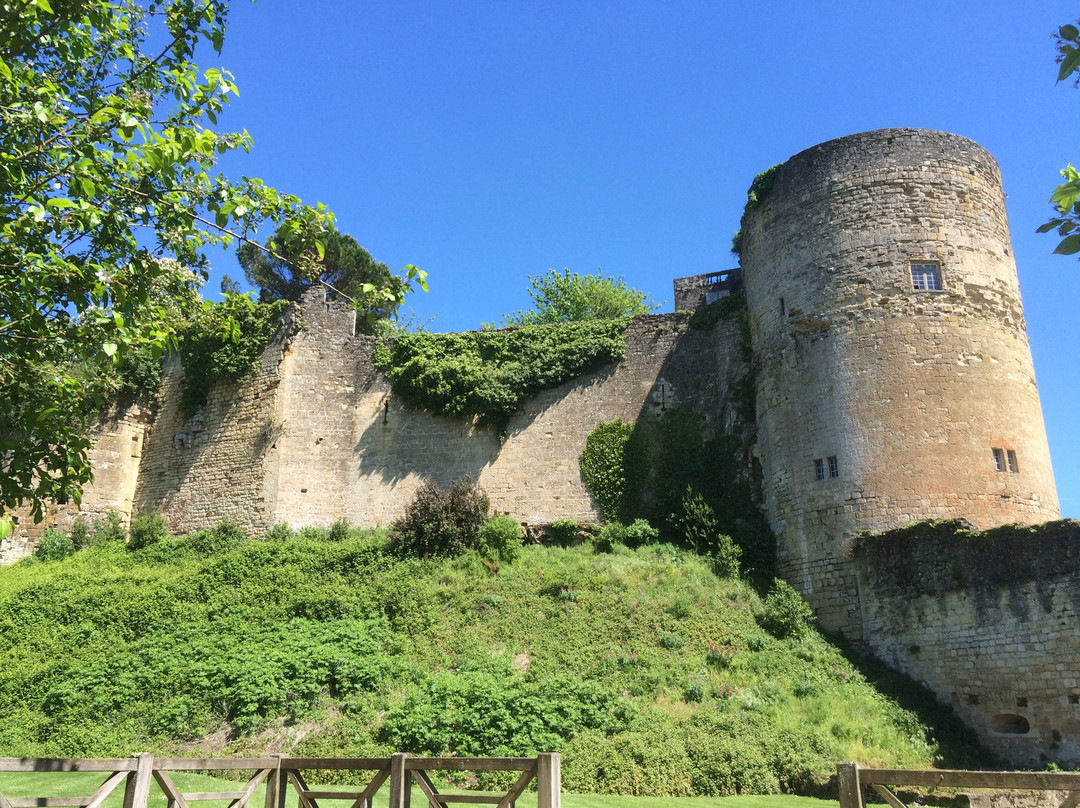 Château des Quat'Sos景点图片