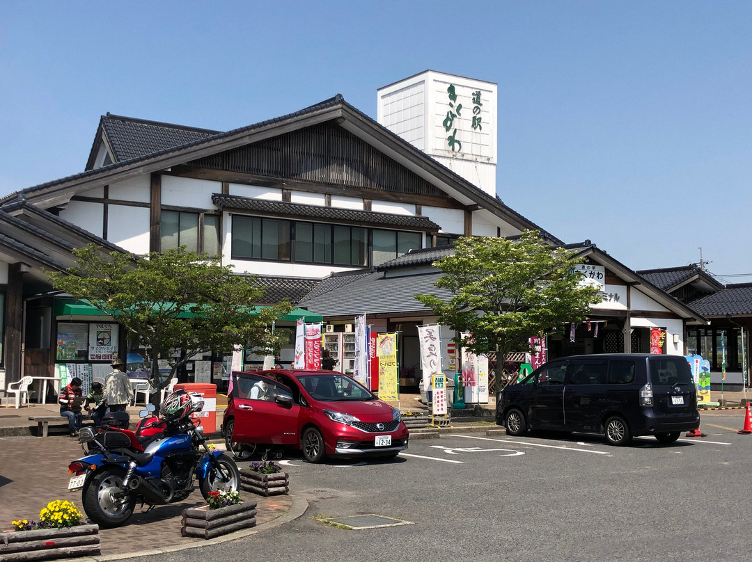 Michi-no-Eki Kikugawa景点图片