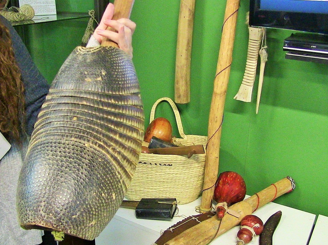 Museo del Hombre Chaqueno Ertivio Acosta-雷西斯滕西亚必去景点