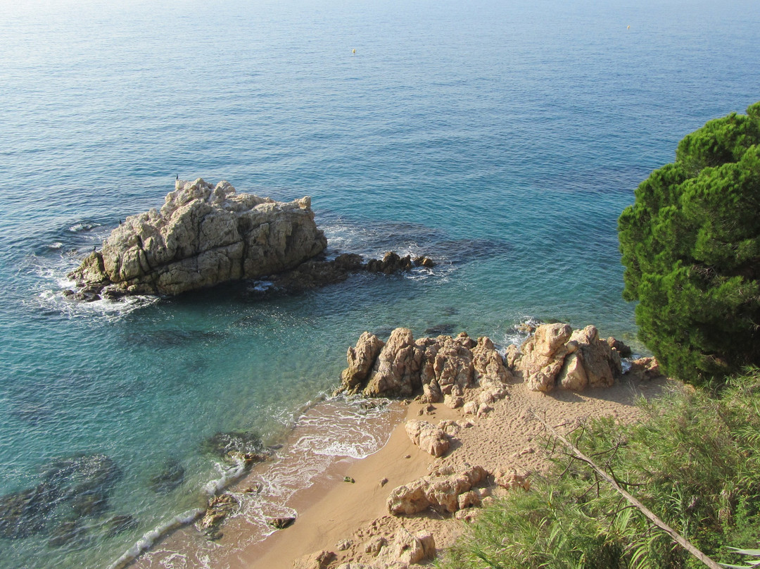 Playa Roca Grossa景点图片