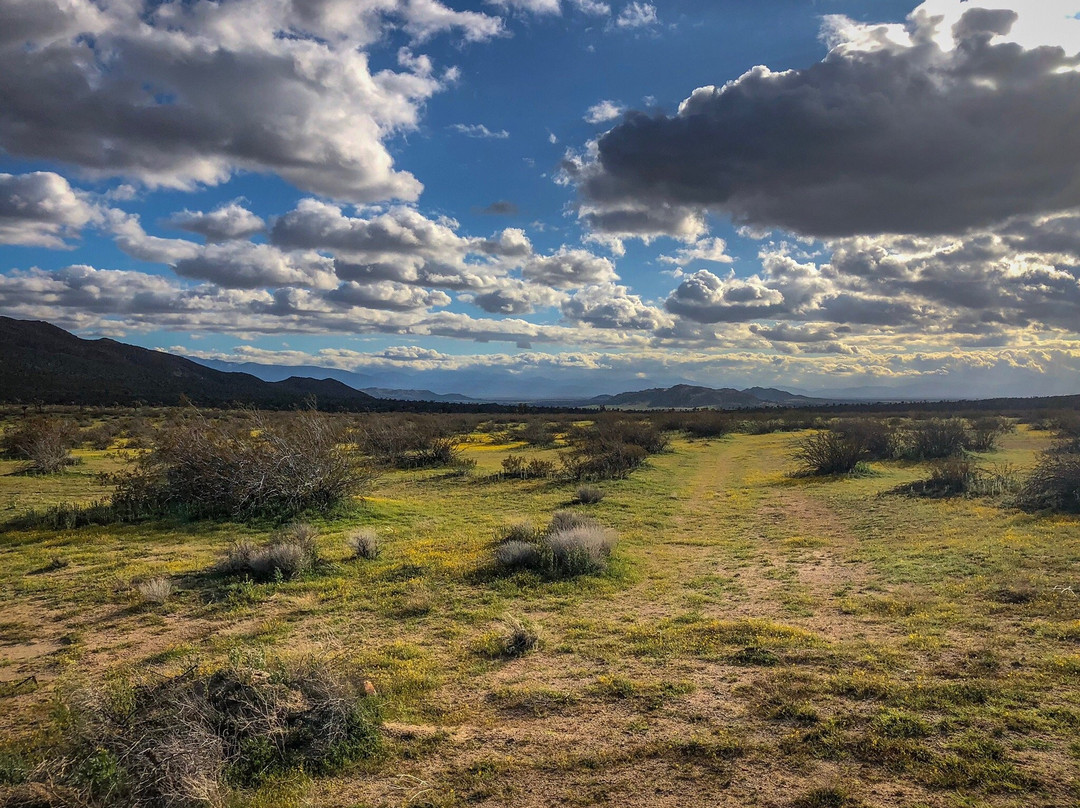 Butte Valley Wildflower Sanctuary-兰开斯特必去景点