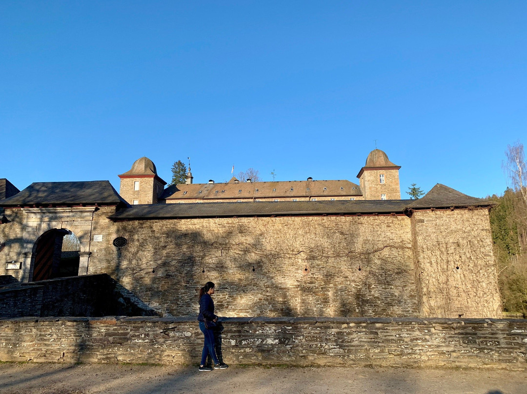 Burg Schnellenberg景点图片